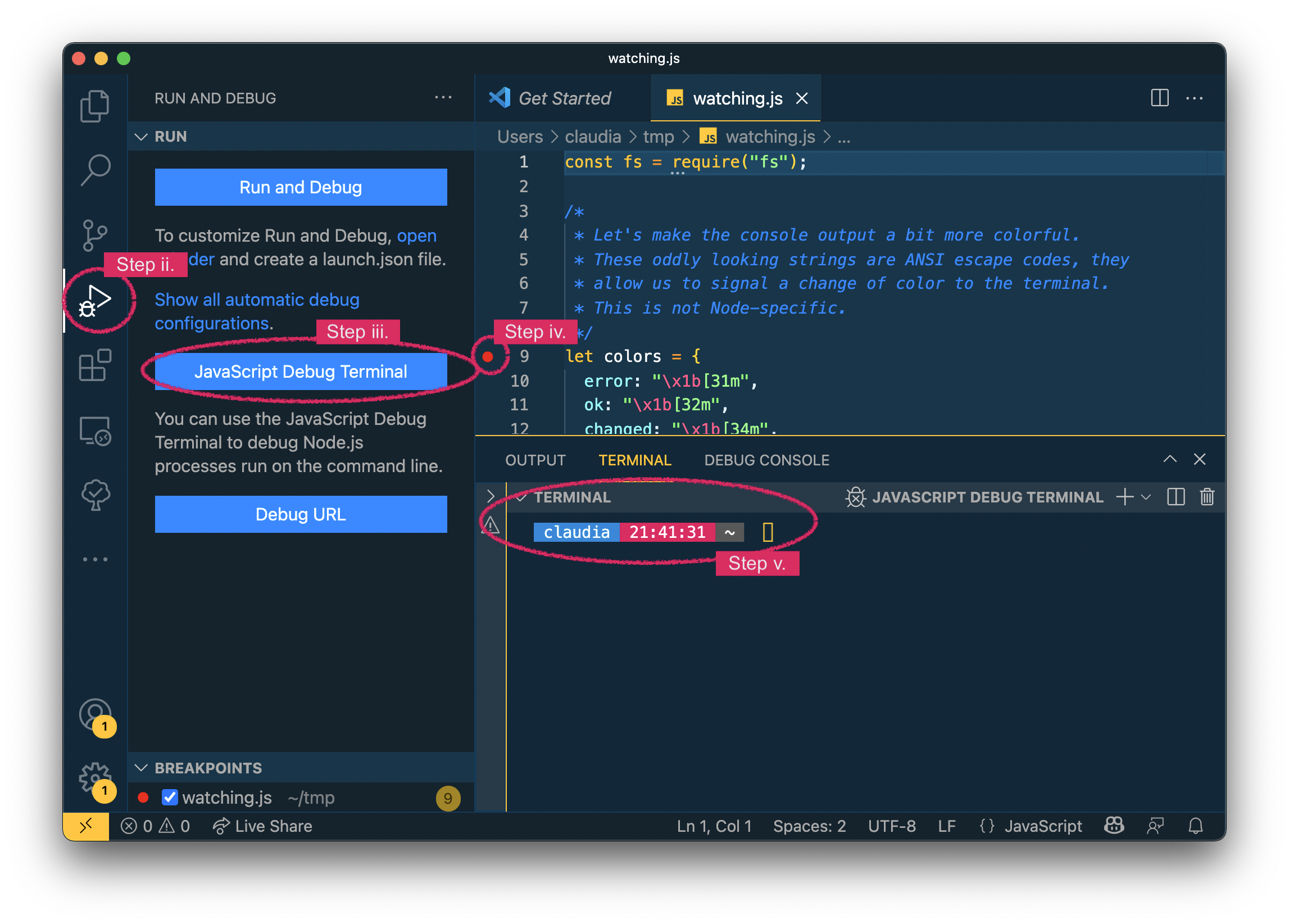 VSC debugging