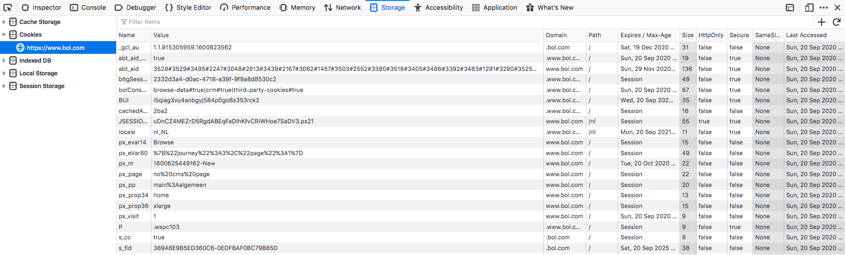 Storage dev tools cookies